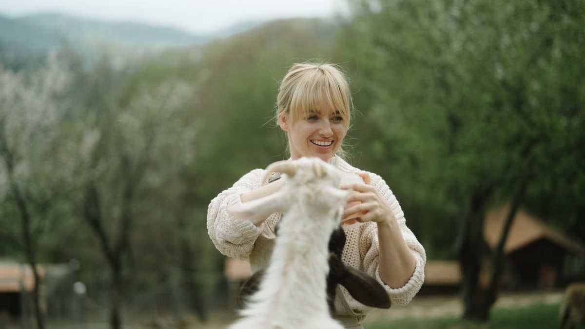 Joyful moment of a woman playing with a goat on a rural farm setting.
